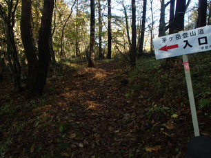 茅ヶ岳　観音峠　登山　ガイド