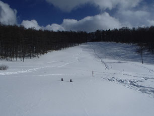 入笠山　雪山　スノーシュー　ガイド