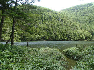 八ヶ岳　池めぐり　登山　コース　ガイド