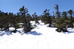 八ヶ岳 残雪情報 2025