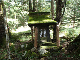 阿弥陀岳　登山　コース　ガイド