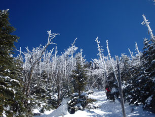 八ヶ岳　蓼科山　雪山　プライベートガイド