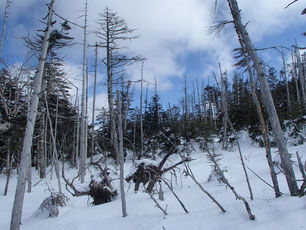 縞枯山　雪山登山　講習　ガイド