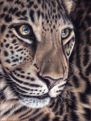 ausdrucksstarkes Pastellbild von einem Leoparden - limitierter Kunstdruck
