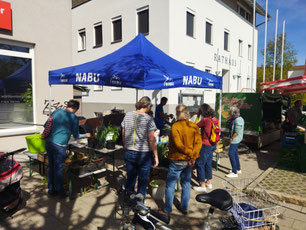 Foto: A. Papesch