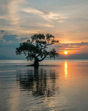 Indonesian property for sale