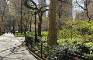 MUSIQUE sur le thème de la VILLE  central park new york