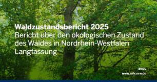 2025 Waldzustandsbericht NRW © mlv.nrw
