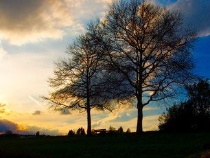 der Himmel, vom Abendlicht vergoldet