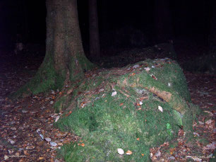 Druidenhain, Wohlmannsgesees, Muggendorf, Fränkische Schweiz, Felsen, Ferienhaus am Klostergarten, Gößweinstein