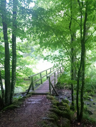 Ailsbach, Ailsbachtal, Sophienhöhle, Burg Rabenstein, König-Ludwig-Höhle, Fränkische Schweiz, Oberfranken, Franken, Bayern, Ferienhaus-am-Klostergarten Gößweinstein, Holzbrücke, Bach, Sommer