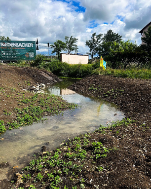Der neue Bachlauf des Kühwasengrabens hält das Wasser. Foto: Bayerische Landesgartenschau Bad Windsheim 2027