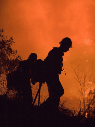 Waldbrand - Lagerfeuer, Grillen Wald, Waldbrandgefahr, Brandschutz, Deutschland, Brandenburg, Blitz, Zigarette, Sachsen-Anhalt, Thüringen, Brandursache, Brandstiftung, Bayern, Hitzegewitter, Saarland, Forstwirtschaft, Heizen, Elektrogeräte, Feuerlöscher