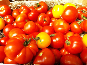 Unsere  ersten Tomaten im SchloßMühlLaden, Wr. Neudorf!  Danke für das tolle Foto!