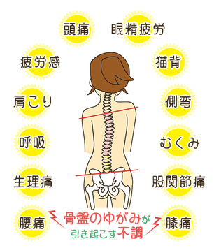 豊橋の腰痛専門整体院えんぎ堂の考える骨盤のゆがみが与える全身への影響