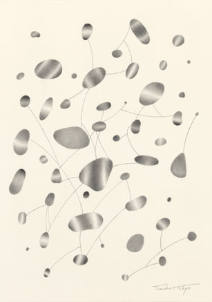 28「Drawing _Seeds」鉛筆、アルシュ紙　27 x 19cm　