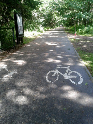 Ścieżka rowerowa Kołobrzeg - Dżwiżyno