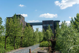 Kokerei Hansa, Kokerei, Jörg Rautenberg, Hamm, Fotografie, Fotograf, Bild, Foto, Natur