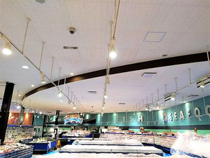 防カビ施工後の天井