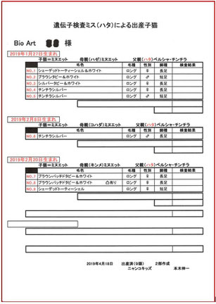 父猫の遺伝病遺伝子検査ミスの交配により産れた子猫一覧