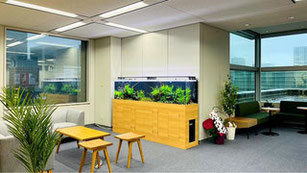 プロの水槽販売 設置作業サービス アクアリウム大学公式 プロの水槽販売 設置作業サービス アクアリウム大学公式