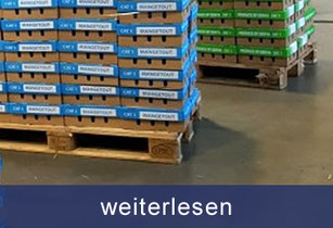 Handling am Flughafen Zürich