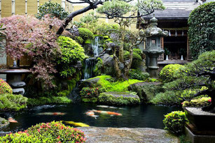 日本庭園の魅力 Abenteuer Japans Webseite