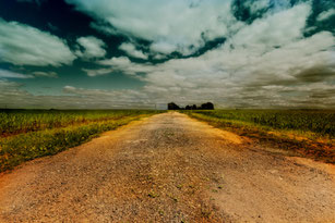 Feldweg unter weitem Wolkenhimmel II