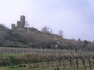 Frühling in Wachenheim