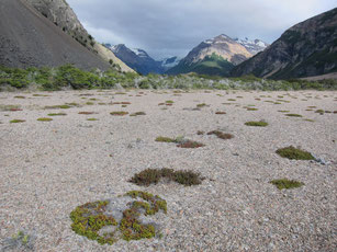 Reserva Nacional Lago Jeinimeni, Patagonia, Chile