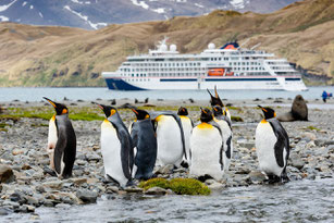 Antarktis Kreuzfahrt deutschsprachig mit HANSEATIC nature