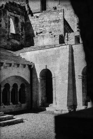 Mischa Dickerhof
