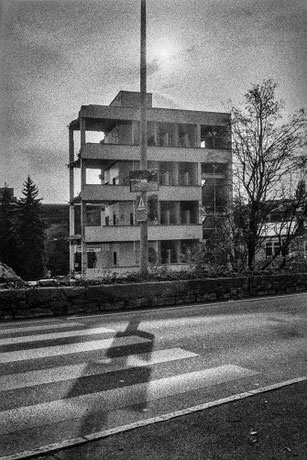 Mischa Dickerhof