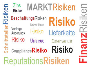 Risiko-Consulting: Risikomanagement + Risikoberatung. Chefsache Risikoagenda 