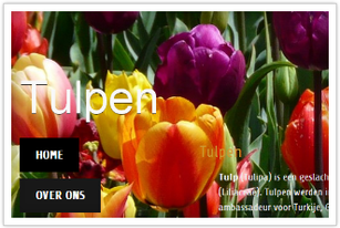 leesbaarheid website