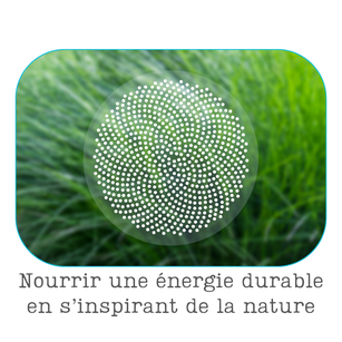 paper break stages developpement personnel nourrir une énergie durable