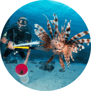 Invasive lionfish tracker hunter