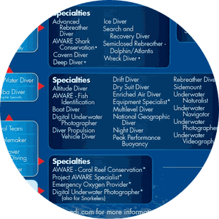 Padi Specialties