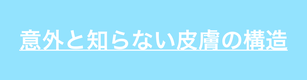 皮膚の構造について解説