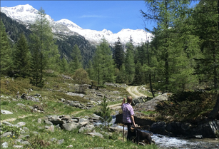 Kaponigtal - Moosboden, Foto: TVB Obervellach