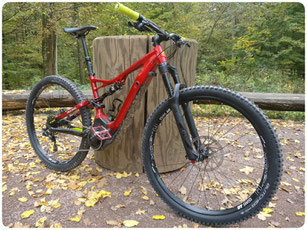 Die Vorteile von 29" Laufräder am e-Mountainbike