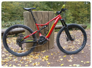 Der Bericht zu den 29" Laufrädern am Specialized Turbo Levo Fully e-MTB