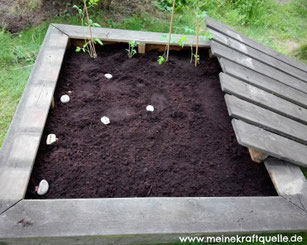 aus alt mach neu, recyling, Blumenbett alternativ, Blumenbeet selbst bauen, Sandkasten umfunktionieren, Kraftquelle