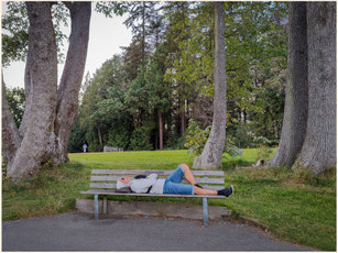 Nordamerika, Kanada, Vancouver, Stanley Park