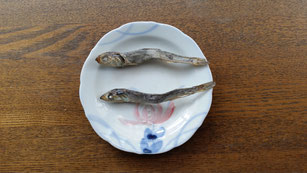 二匹の煮干し