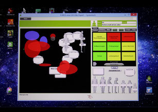 Screenshot Systemische Aufstellung mit Radionik-Software