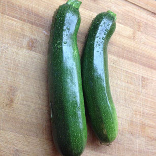 „Unsere ersten Zucchetti bereits nach 2 ½ Wochen nach dem Setzen der Pflanzen“