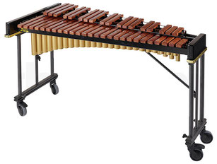 famille des percussions xylophone
