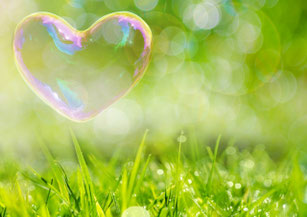 佐用・たつの・姫路の社会保険労務士事務所