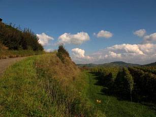 schwer zu finden - die Auffahrt zum Mond-Panorama